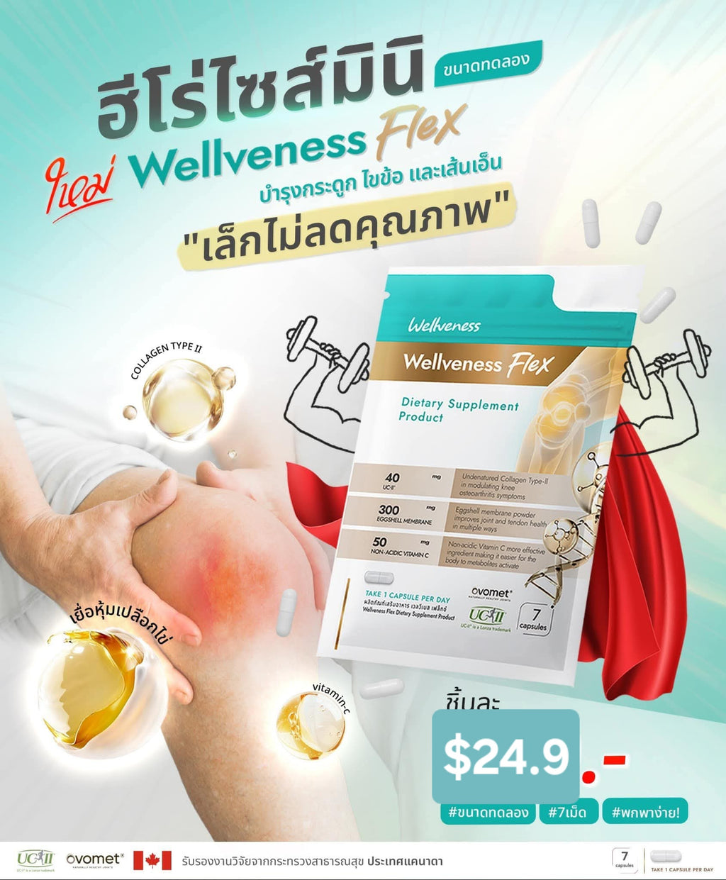 Wellflex ซองเล็ก