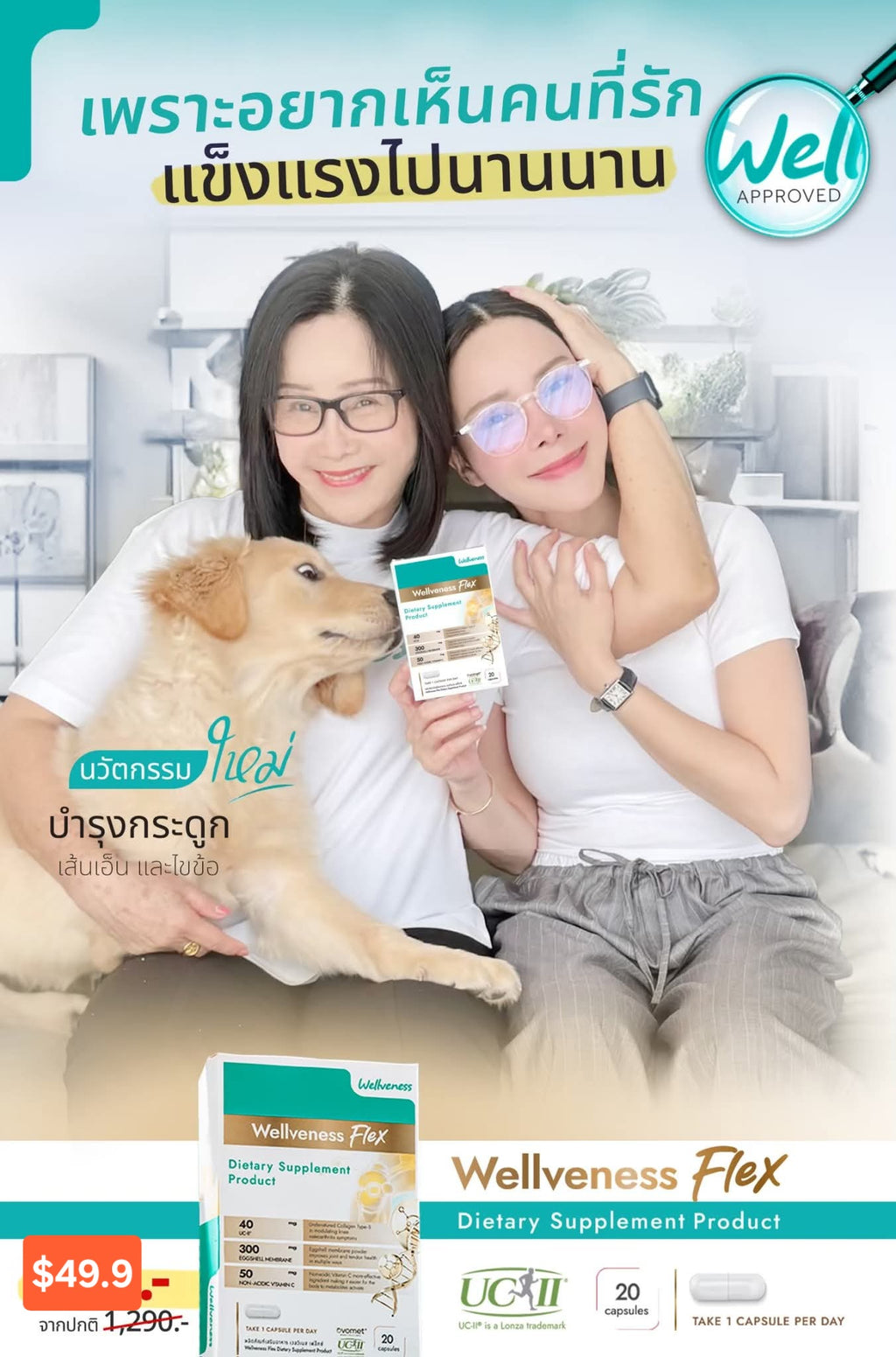 Wellflex ซองใหญ่ ชุดสุดคุ้ม จ่าย 2 เหมือนได้ 3