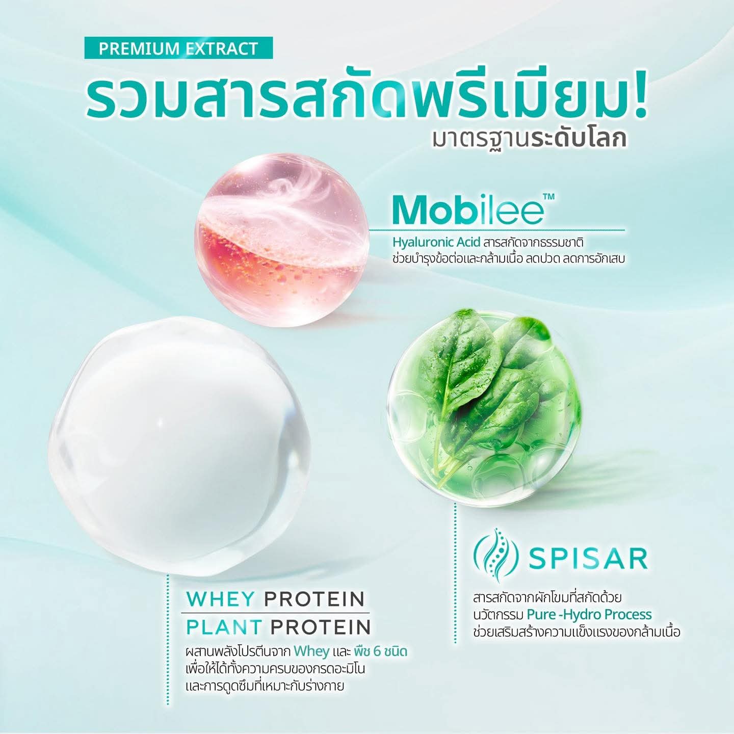 Well Protien *พร้อมส่ง ต้นเดือน มิถุนายนค่ะ ที่ออสเตรเลีย