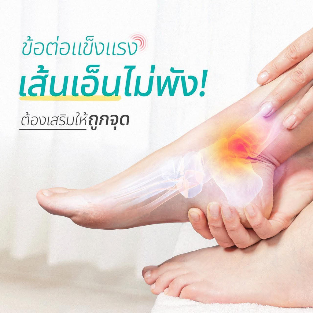 Wellflex ซองใหญ่ ชุดสุดคุ้ม จ่าย 2 เหมือนได้ 3