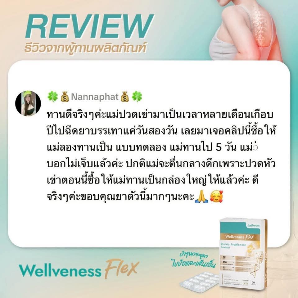 Wellflex ซองใหญ่ ชุดสุดคุ้ม จ่าย 2 เหมือนได้ 3
