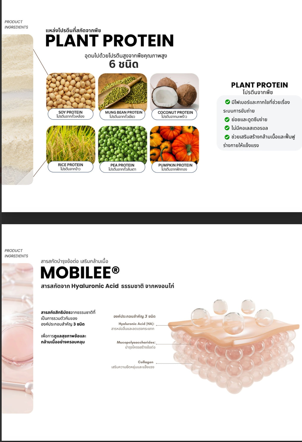 Well Protien *พร้อมส่ง ต้นเดือน มิถุนายนค่ะ ที่ออสเตรเลีย