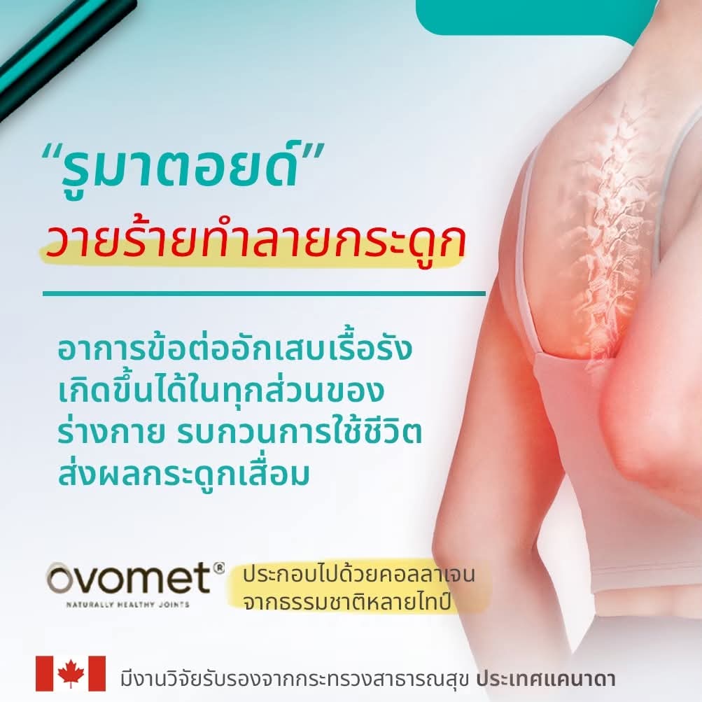 Wellflex ซองใหญ่ ชุดสุดคุ้ม จ่าย 2 เหมือนได้ 3